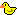 :animals-duckie: